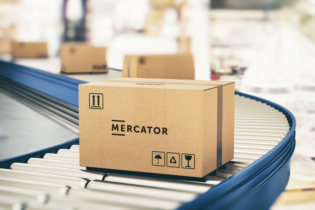 Composition of the Mercator Medical Group