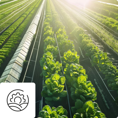 Food production and processing